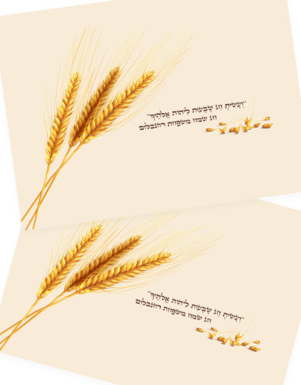 מיתוג פלייסמנטים לשבועות