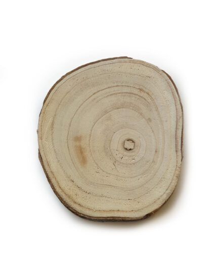 פלטת בול עץ | עיצוב שולחן בוהו
